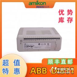 (yng)CS503V1ABB